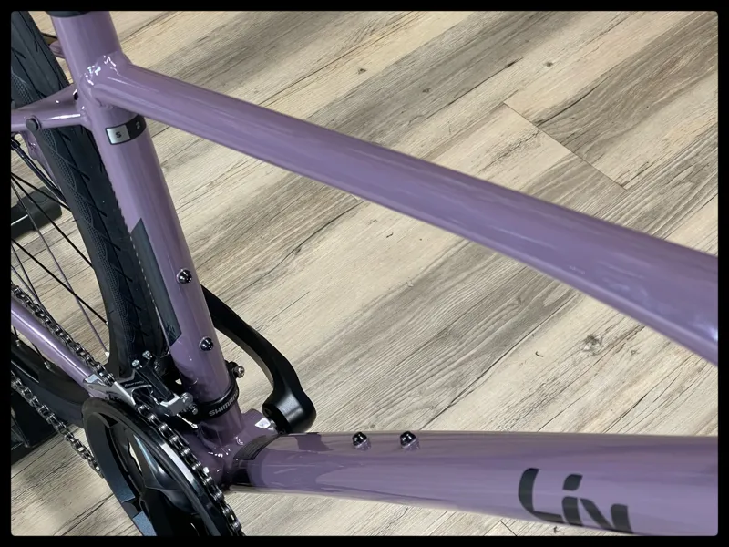 Liv Alight 2 DD Disc Small Purple Ash 2022-3